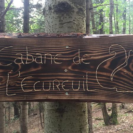 ホテル Cabane De L'Ecureuil シャテルギュイヨン エクステリア 写真