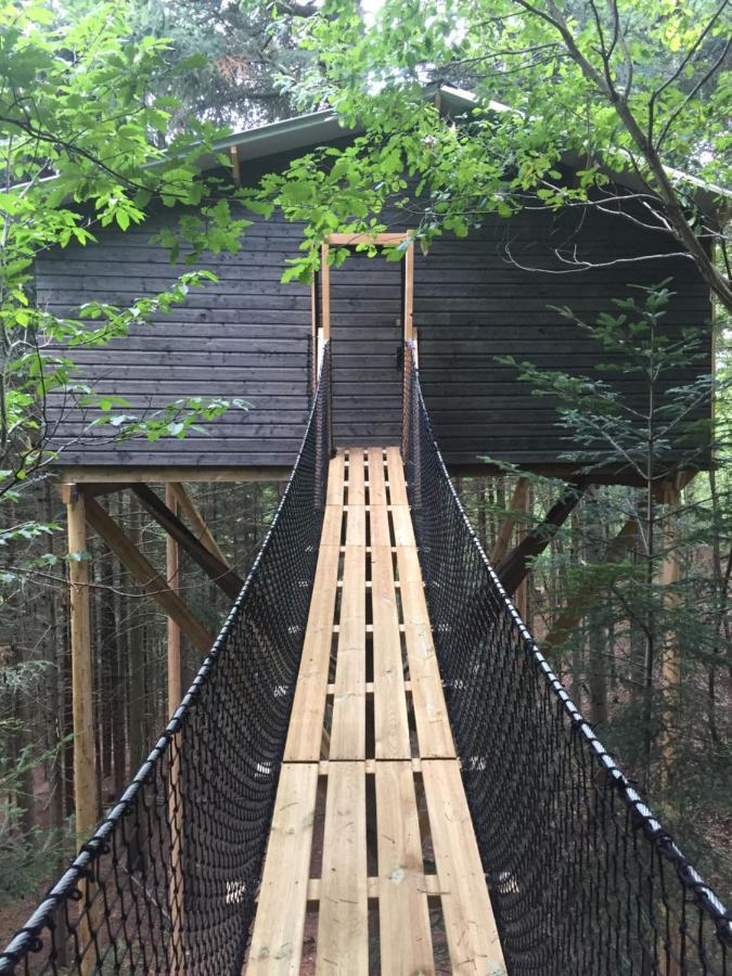 ホテル Cabane De L'Ecureuil シャテルギュイヨン エクステリア 写真